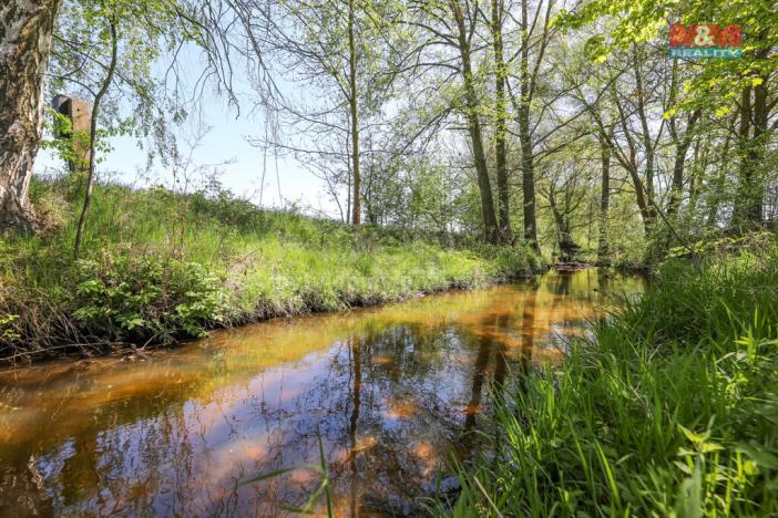 Prodej louky, Horní Bříza, U Kapličky, 4590 m2