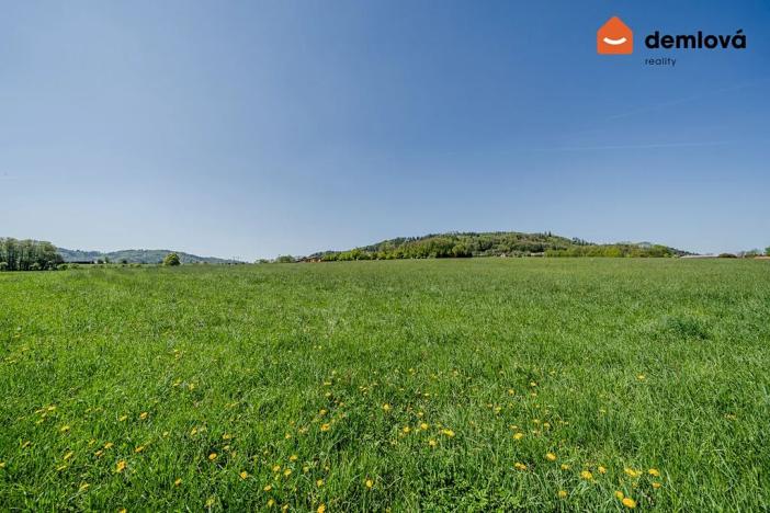 Prodej pozemku pro bydlení, Palkovice, 1636 m2