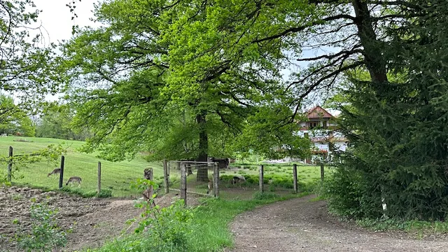 Prodej pozemku pro bydlení, Slapy, 609 m2