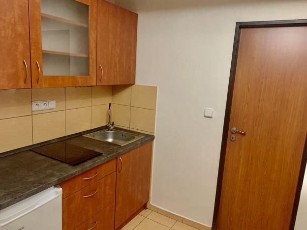 Pronájem bytu 1+kk, Praha - Michle, Počátecká, 25 m2