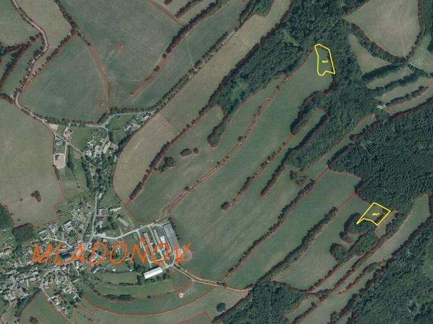 Dražba louky, Nový Malín, 8869 m2