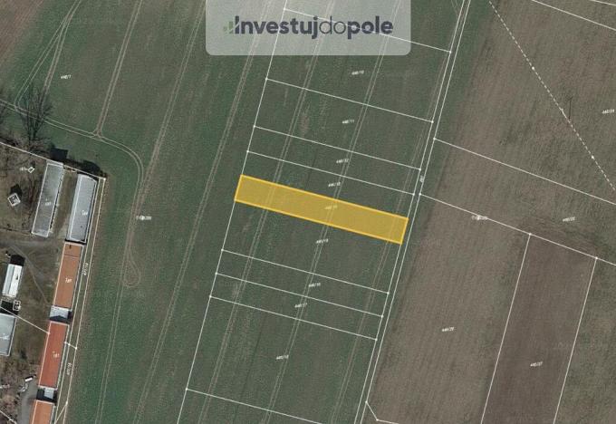 Prodej pole, Bohušovice nad Ohří - Hrdly, 1427 m2