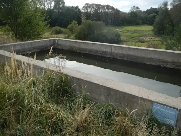 Prodej skladu, Habry, Sázavská, 790 m2