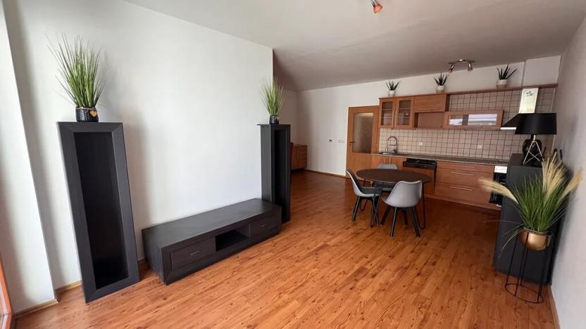 Pronájem bytu 2+kk, České Budějovice, U Lučního jezu, 56 m2