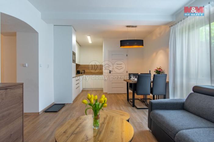 Prodej bytu 2+kk, Nové Hutě, 60 m2