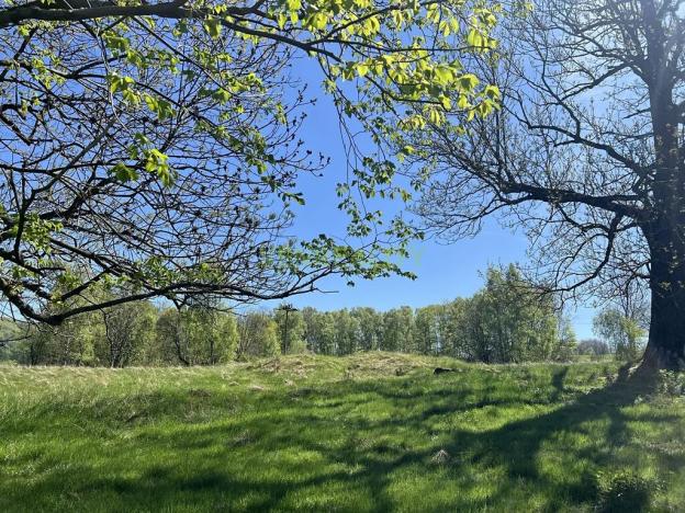 Prodej pozemku pro bydlení, Jiřetín pod Jedlovou, 40342 m2