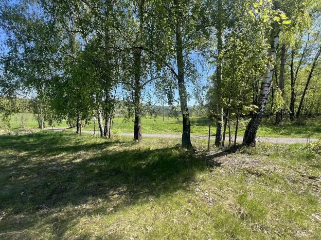 Prodej pozemku pro bydlení, Jiřetín pod Jedlovou, 40342 m2