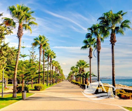 Prodej vily, Agia Napa, Kypr, 157 m2