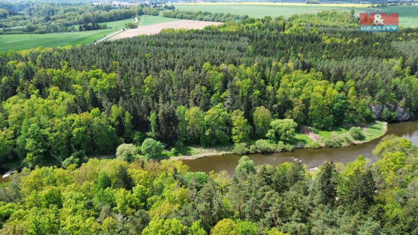 Prodej lesa, Černýšovice, 79857 m2