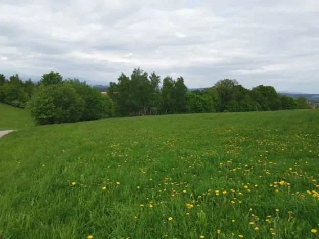 Prodej rodinného domu, Lomnice nad Popelkou, Stružinecká, 777 m2