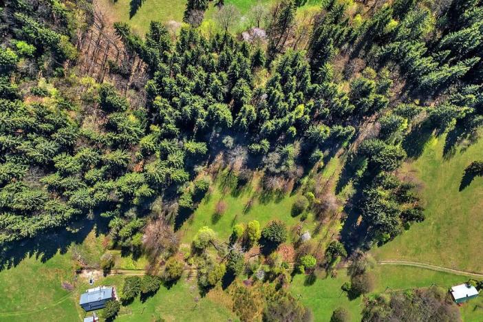 Prodej pozemku pro bydlení, Vítkovice, 21708 m2