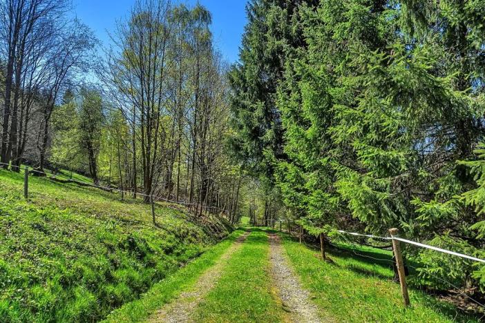 Prodej pozemku pro bydlení, Vítkovice, 21708 m2