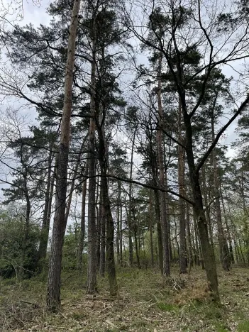 Prodej pozemku, Hradiště, 9237 m2
