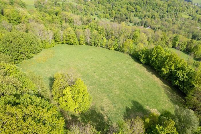 Prodej louky, Děčín, 27274 m2