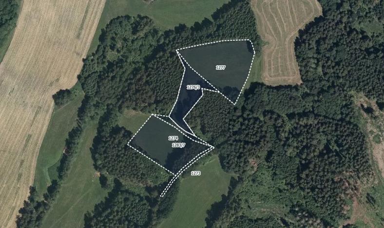 Prodej louky, Oldřiš, 14976 m2