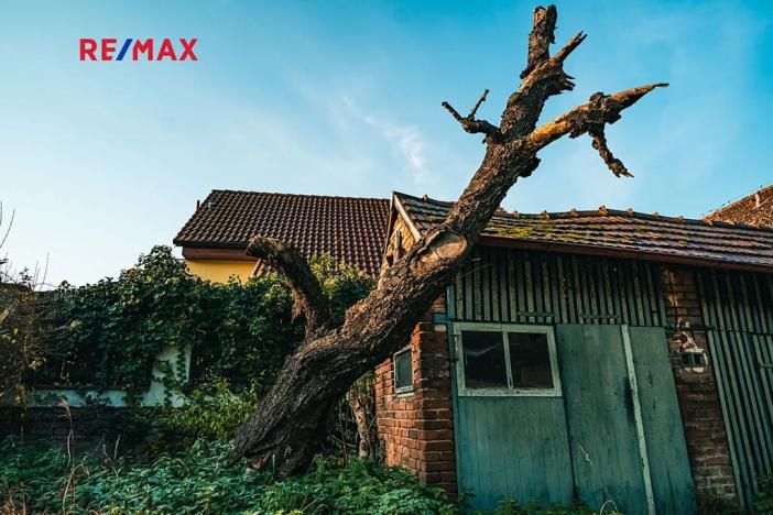 Prodej rodinného domu, Těchlovice, 70 m2