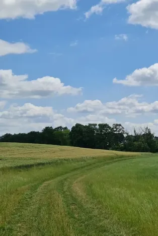 Prodej pole, Libošovice, 19018 m2