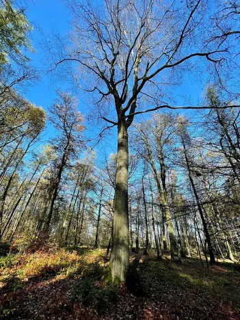 Prodej pozemku pro bydlení, Louňovice, Za Hřištěm, 1040 m2