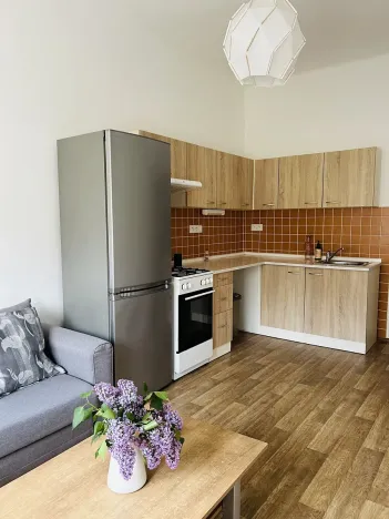 Pronájem bytu 2+kk, Praha - Žižkov, Žerotínova, 45 m2