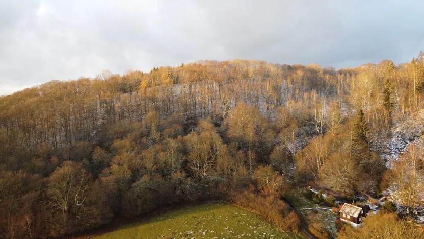 Prodej louky, Malečov, 1240 m2