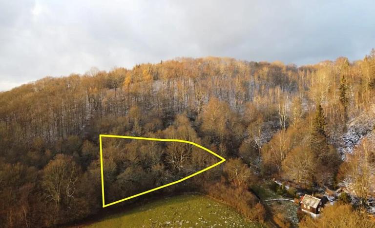 Prodej louky, Malečov, 1240 m2