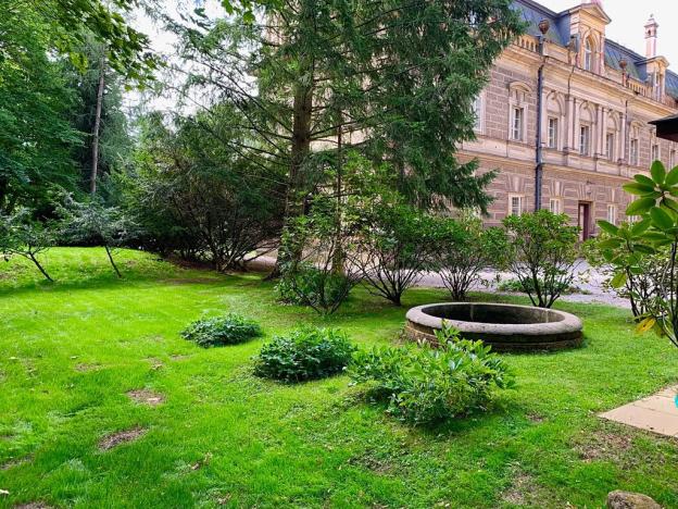 Prodej domu, Dolní Olešnice, 6264 m2