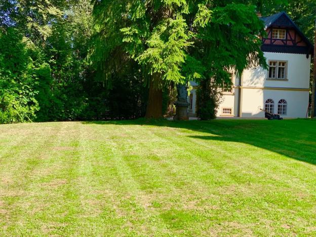 Prodej domu, Dolní Olešnice, 6264 m2