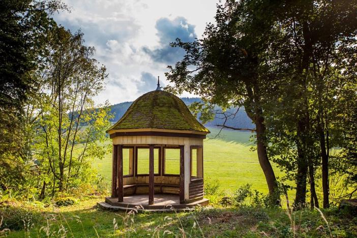 Prodej domu, Dolní Olešnice, 6264 m2