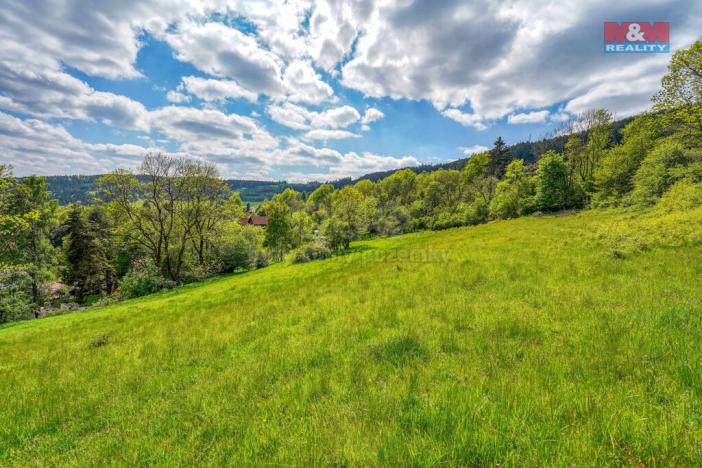 Prodej pozemku pro bydlení, Sušice - Nuzerov, 10400 m2