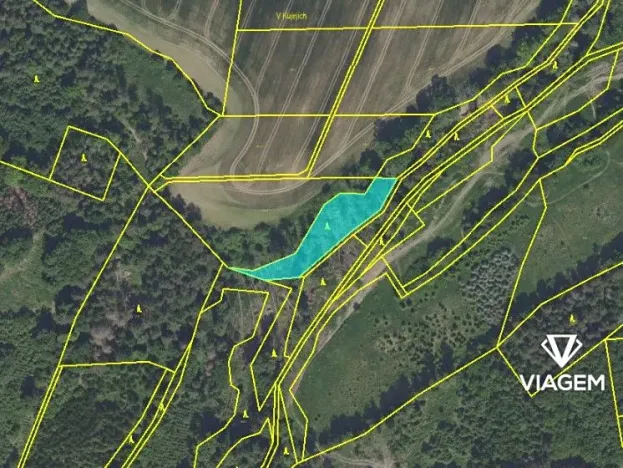 Prodej lesa, Jablonná, 1886 m2