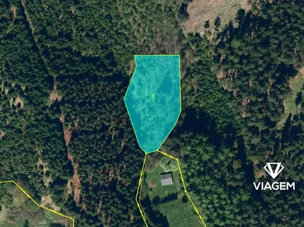 Prodej podílu lesa, Třebětín, 1638 m2