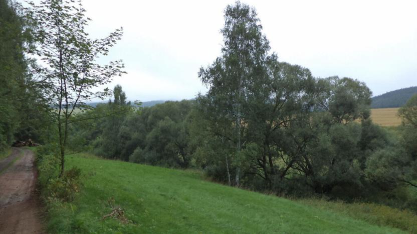 Prodej pole, Heřmánkovice, 5268 m2