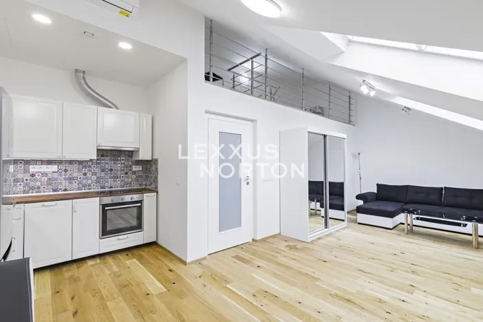 Pronájem bytu 1+kk, Praha - Smíchov, Holečkova, 55 m2