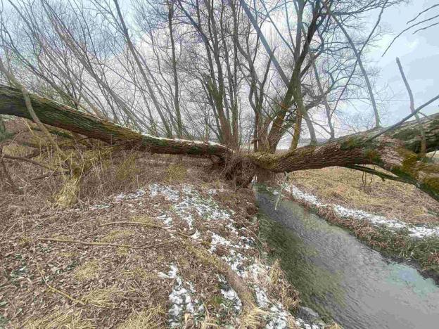Prodej pole, Jankov, 1800 m2