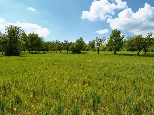 Prodej pozemku pro bydlení, Třebenice, 5844 m2