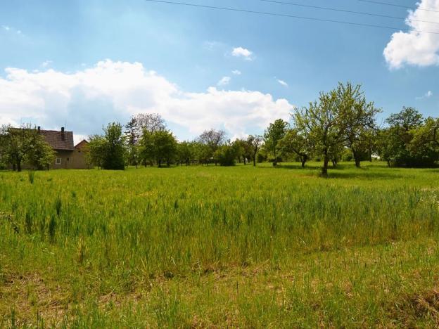 Prodej pozemku pro bydlení, Třebenice, 5844 m2