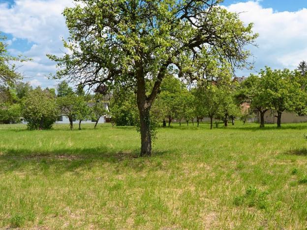 Prodej pozemku pro bydlení, Třebenice, 5844 m2