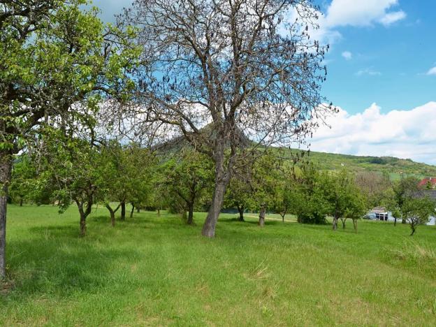 Prodej pozemku pro bydlení, Třebenice, 5844 m2