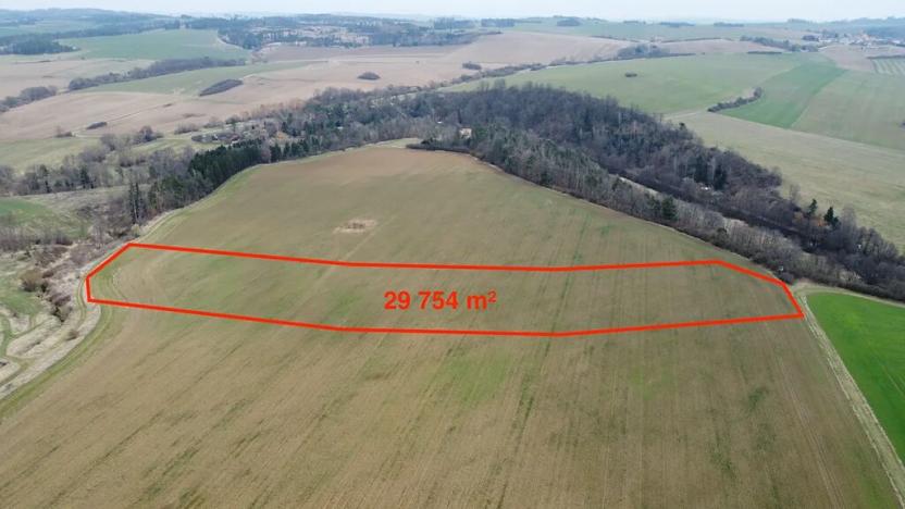 Prodej pole, Cizkrajov, 87688 m2