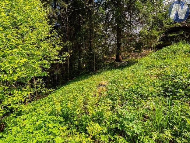 Prodej pozemku pro bydlení, Horní Vltavice, 598 m2