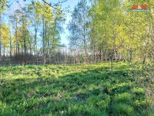 Prodej pozemku pro bydlení, Stará Voda, 2966 m2