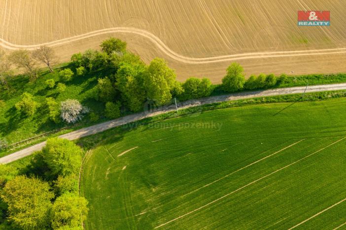 Prodej pole, Mikulovice - Kolnovice, 842 m2