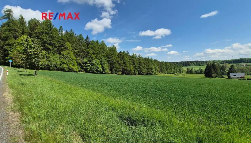 Prodej pozemku pro bydlení, Borová, 7429 m2