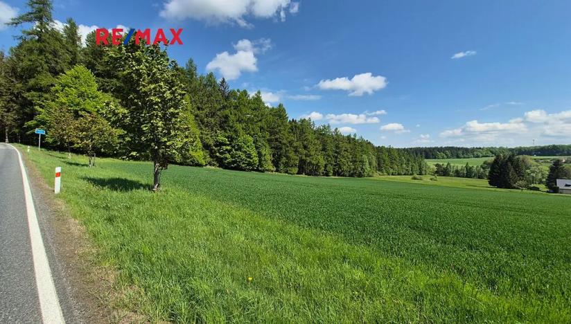 Prodej pozemku pro bydlení, Borová, 7429 m2