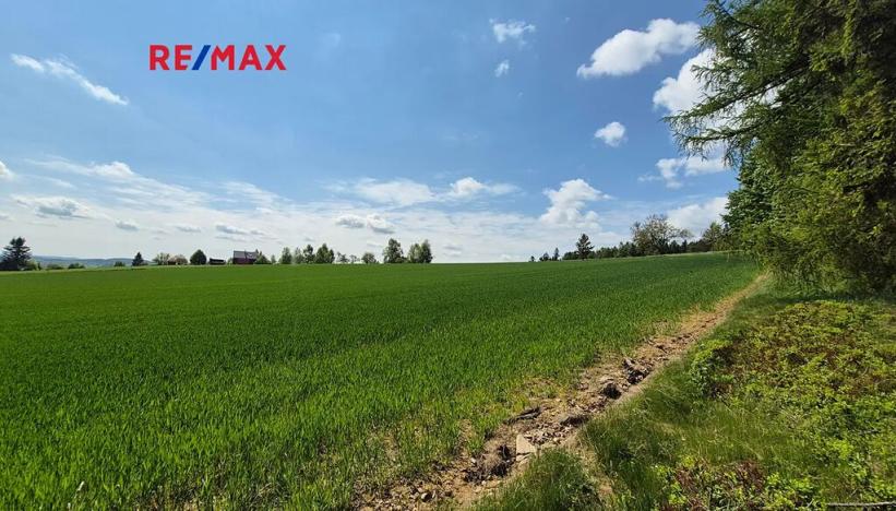 Prodej pozemku pro bydlení, Borová, 7429 m2