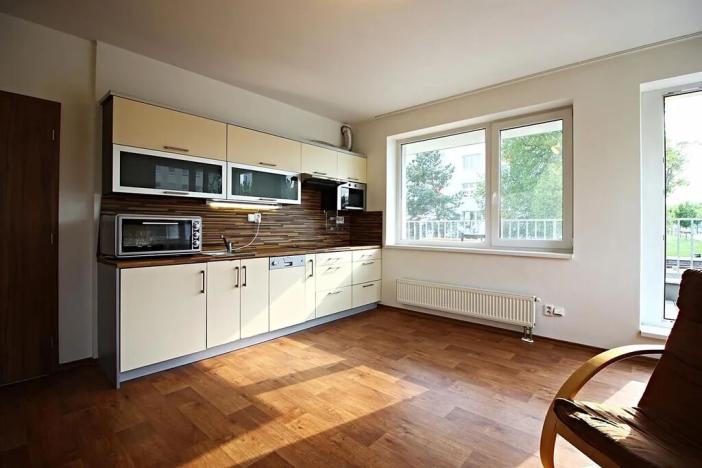 Pronájem bytu 1+kk, Brno, Purkyňova, 45 m2