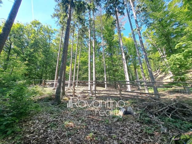 Prodej rodinného domu, Týnec nad Sázavou, 129 m2