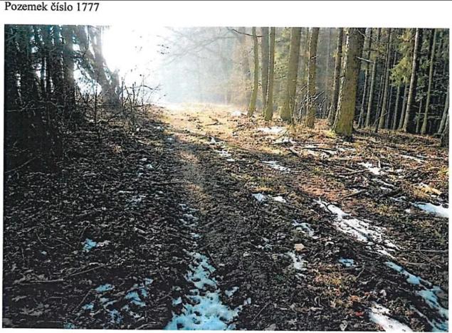 Prodej lesa, Tis, 1213 m2