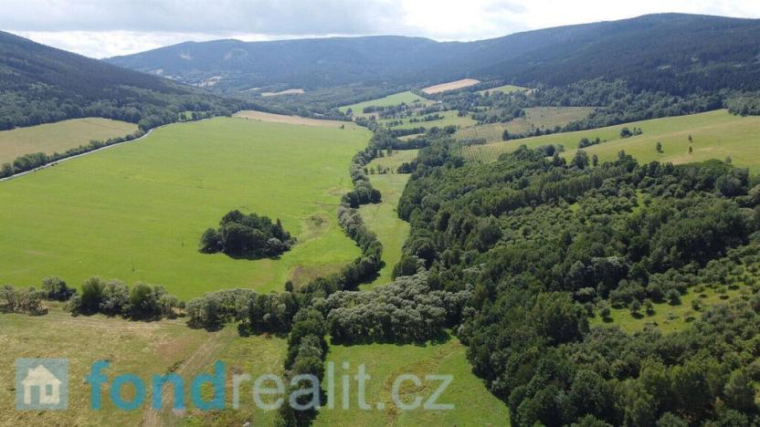 Prodej pozemku, Dešenice, 67850 m2