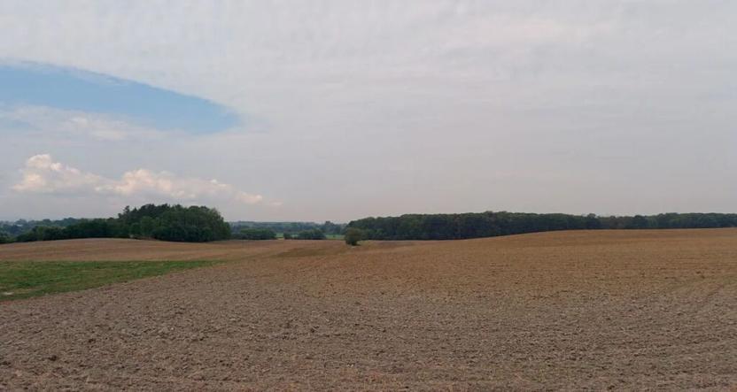 Prodej pole, Trusnov, 2627 m2